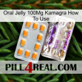 Oral Jelly 100Mg Kamagra How To Use new12